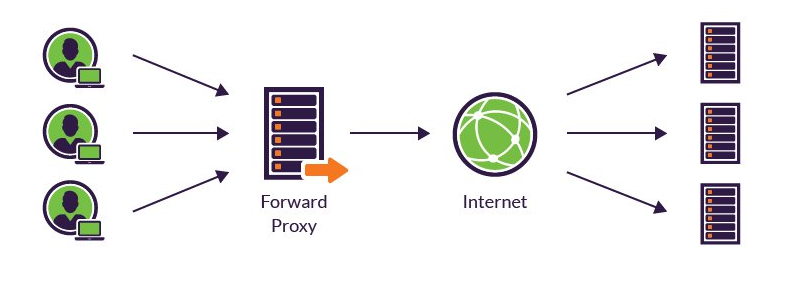 alt fProxy